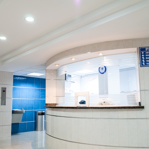 Companionship & Engagement